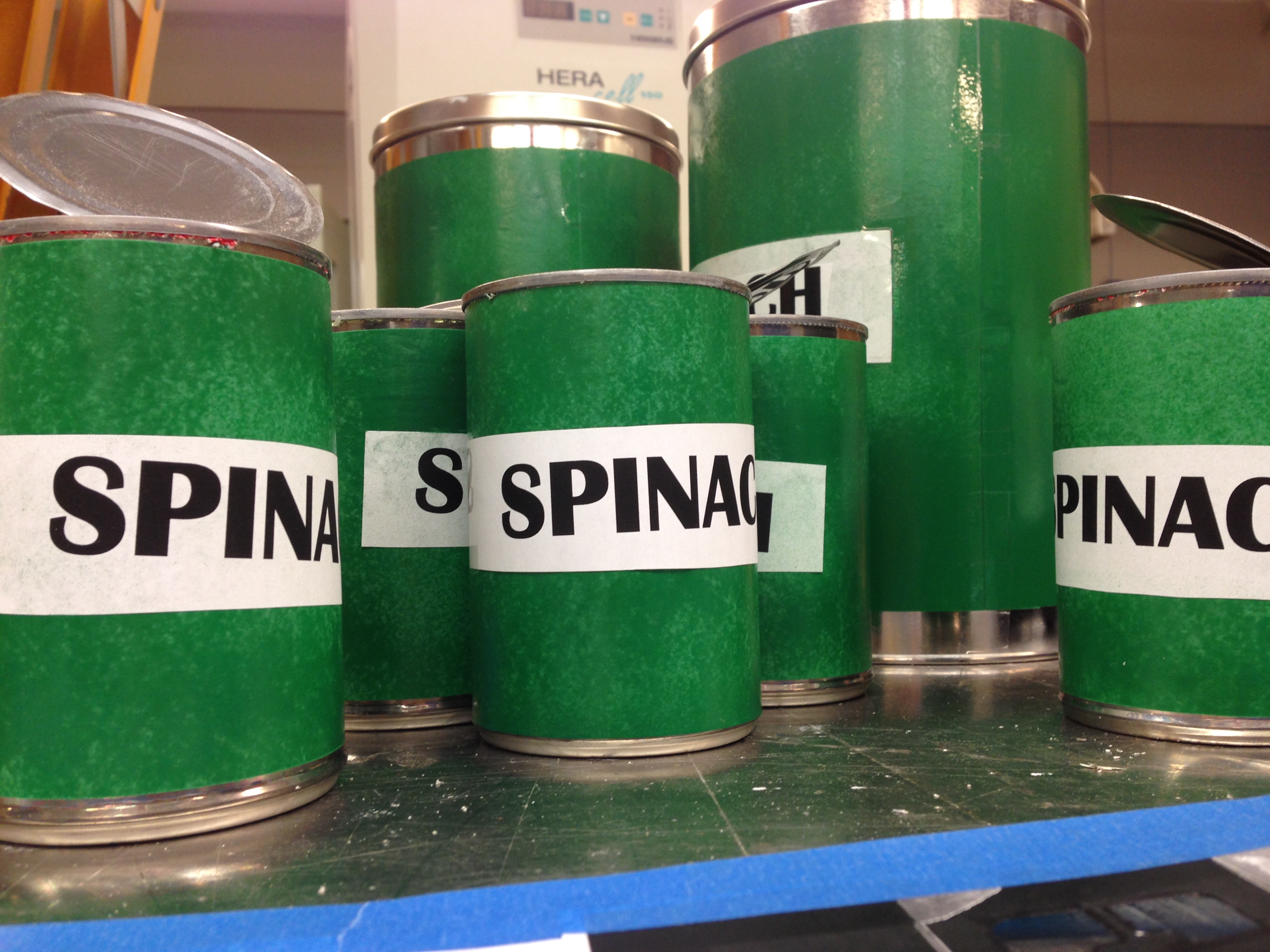 The Bond LSC facilities department crafted mock spinach cans to play up the Popeye theme for this year's Float Your Boat for the Food Bank Race— BLANKENBUEHLER