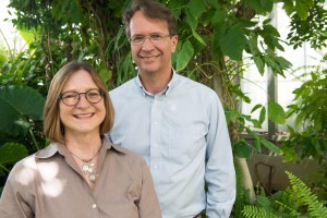 Heidi Appel, investigator at MU’s Bond Life Sciences Center and senior research scientist in the Division of Plant Sciences in the College of Agriculture, Food and Natural Resources, and Rex Cocroft, a professor of Biological Sciences in MU’s College of Arts and Science, found that plants create chemical responses specifically to predator chewing vibrations. 