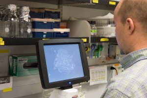 Marc Johnson observes cells modified with CRISPR under the microscope. | photo by Jennifer Lu, Bond LSC