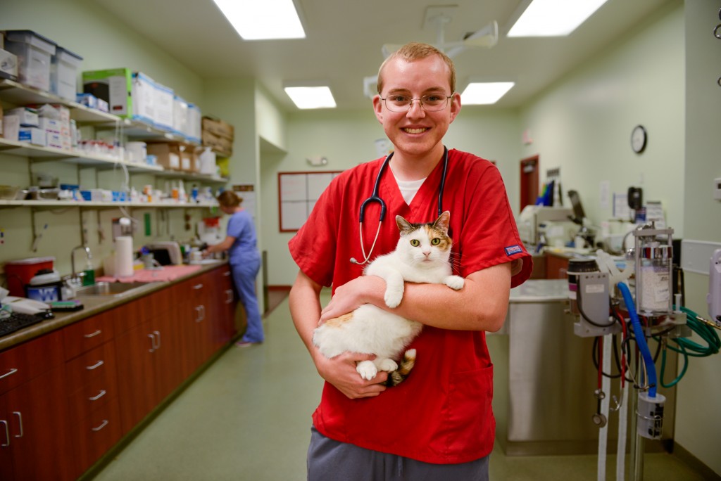 Robert Schmidt poses with one of the cats that lives at Horton Animal Hospital, where he works part-time. Schmidt, a freshman studying biochemistry at the University of Missouri, is a member of the Discovery Fellows Program.